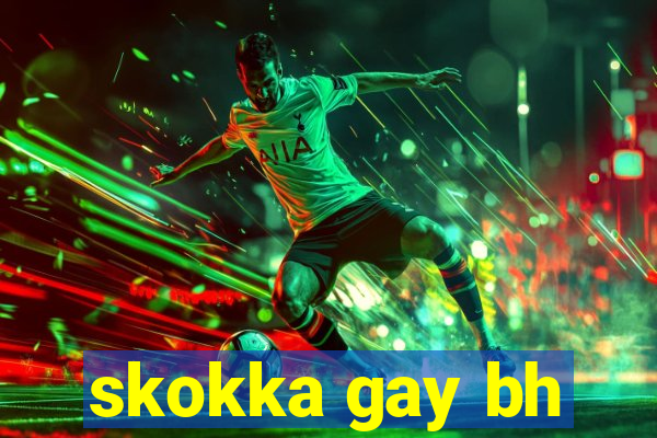 skokka gay bh